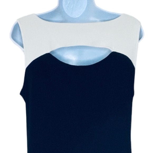 Eileen Fisher System Knee Length Black Dress with Cream Accent at Neck Size M - Picture 4 of 5